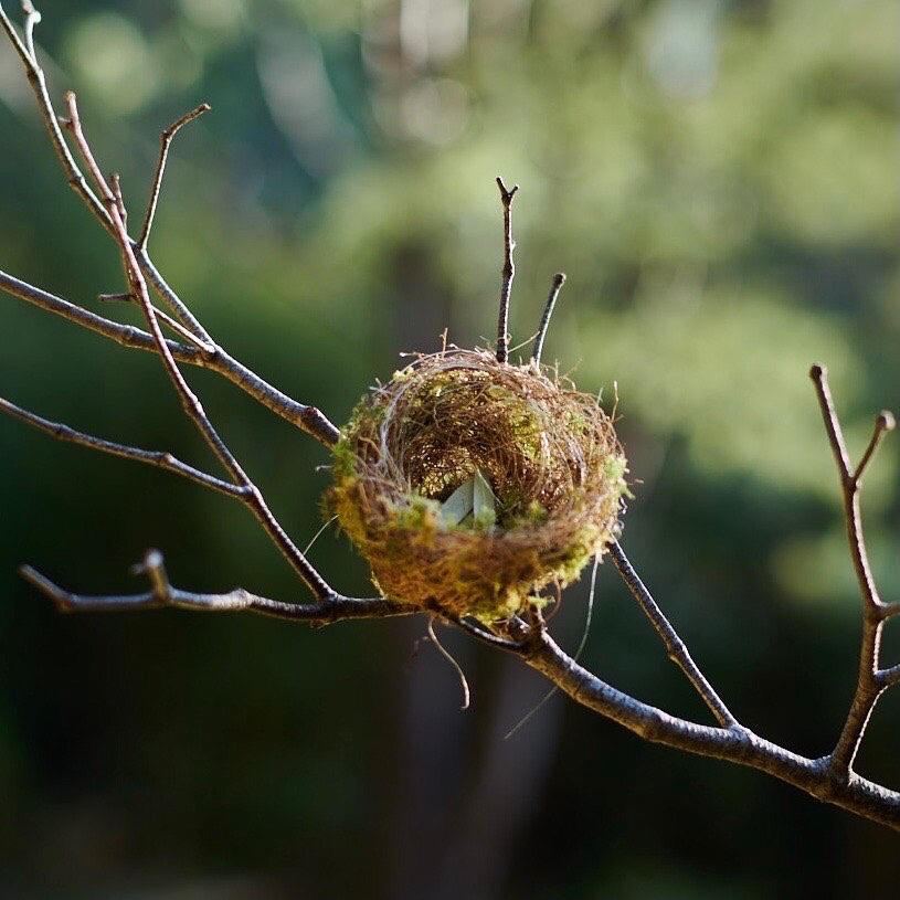 Nest Sculpture, Sustainable Artwork by Zora Verona - Titled Nest of the Eastern Spinebill