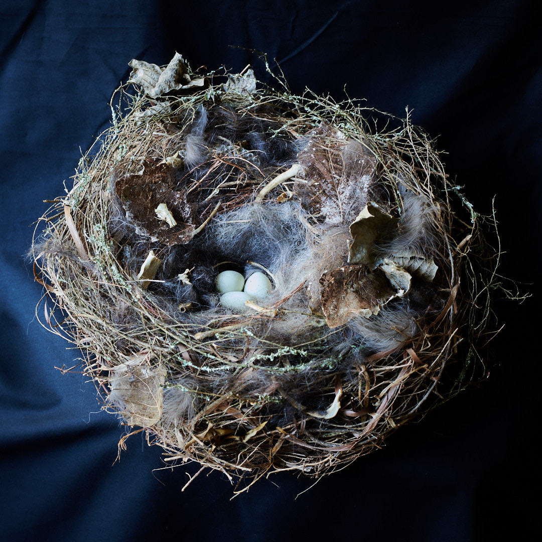 Nest Sculpture, Sustainable Artwork by Zora Verona - Titled Ode to Barn Owl II