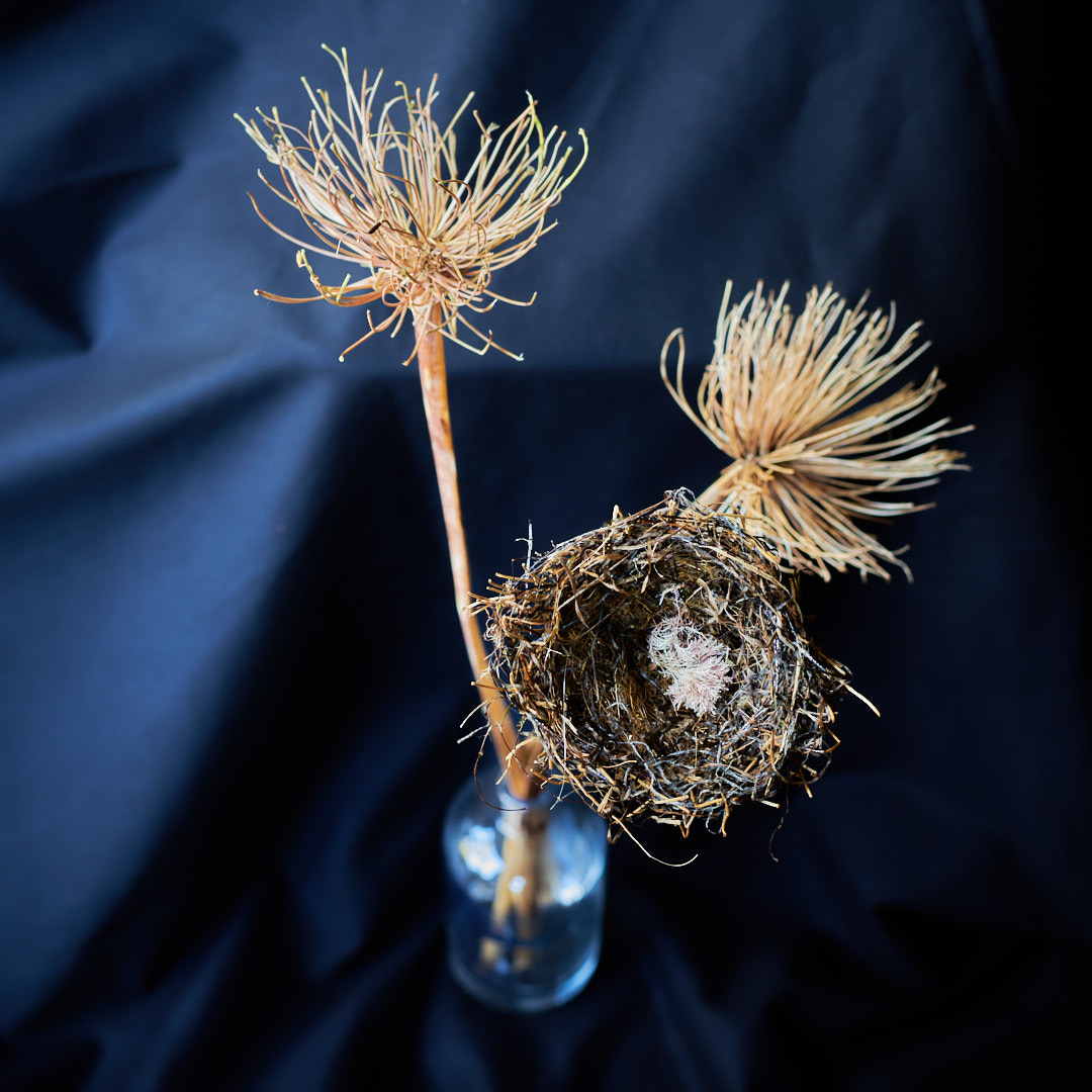 Nest Sculpture, Sustainable Artwork by Zora Verona - Titled Sea - Weed
