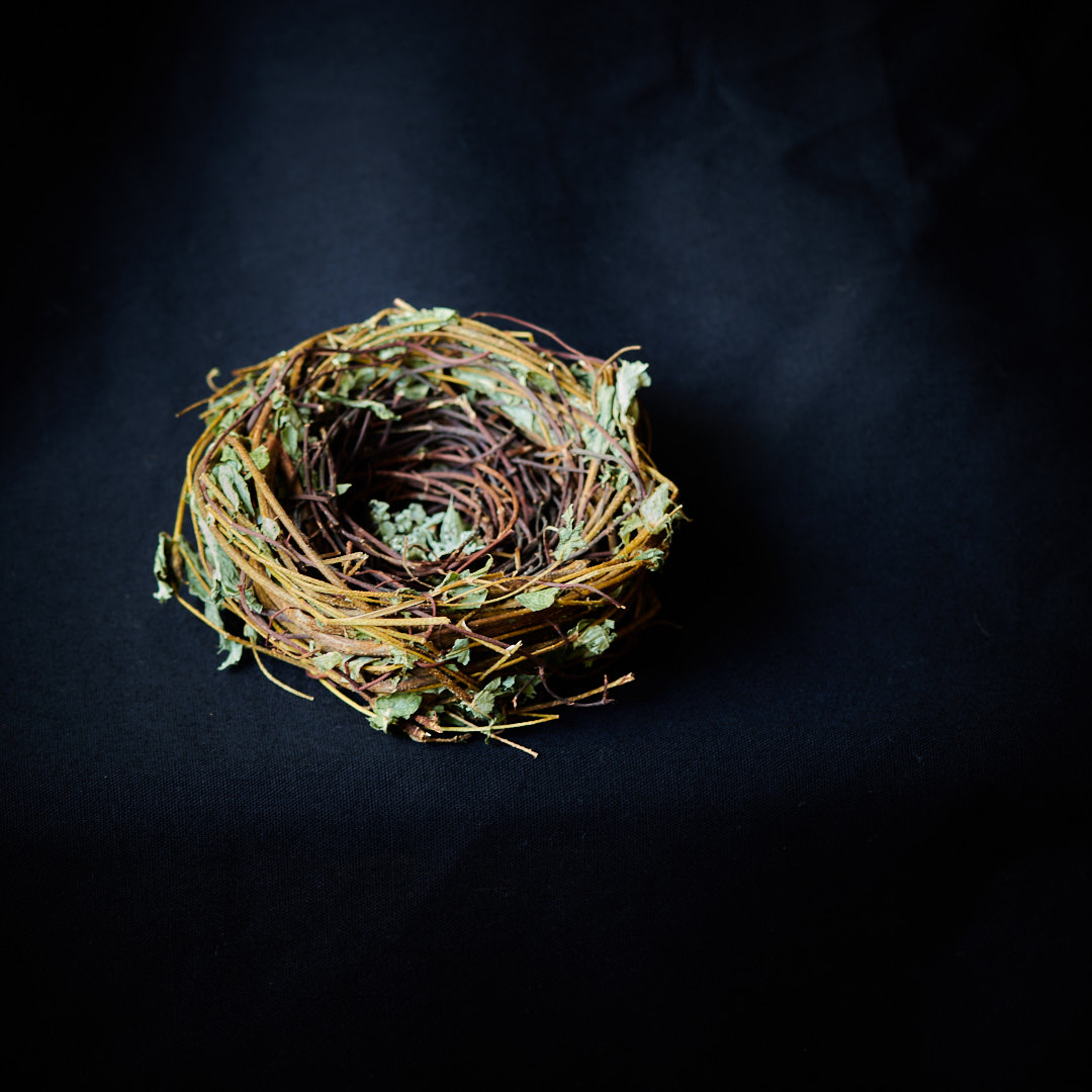 Nest Sculpture, Sustainable Artwork by Zora Verona - Titled Little Eucalypt Treasure