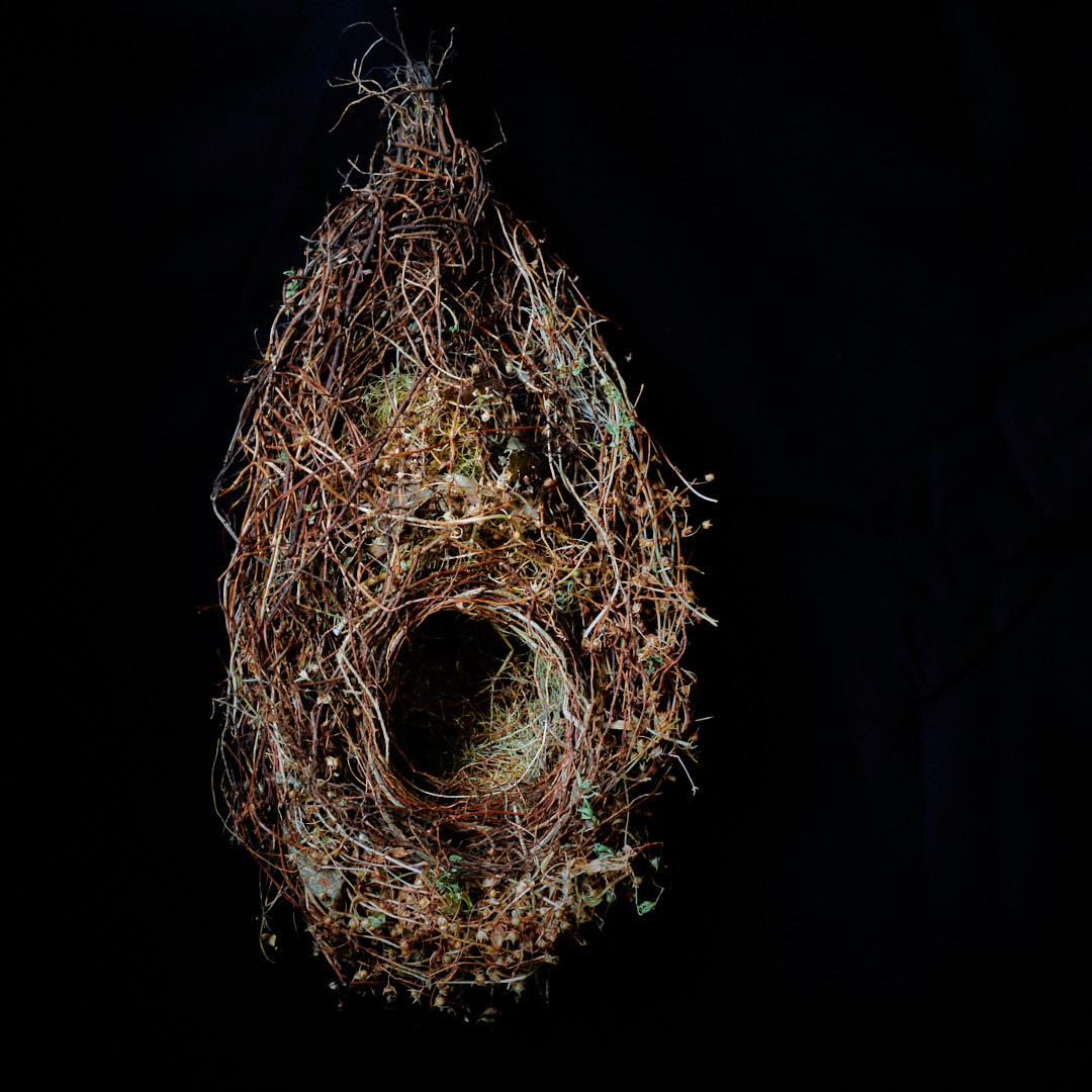 Nest Sculpture, Sustainable Artwork by Zora Verona - Wren Hive