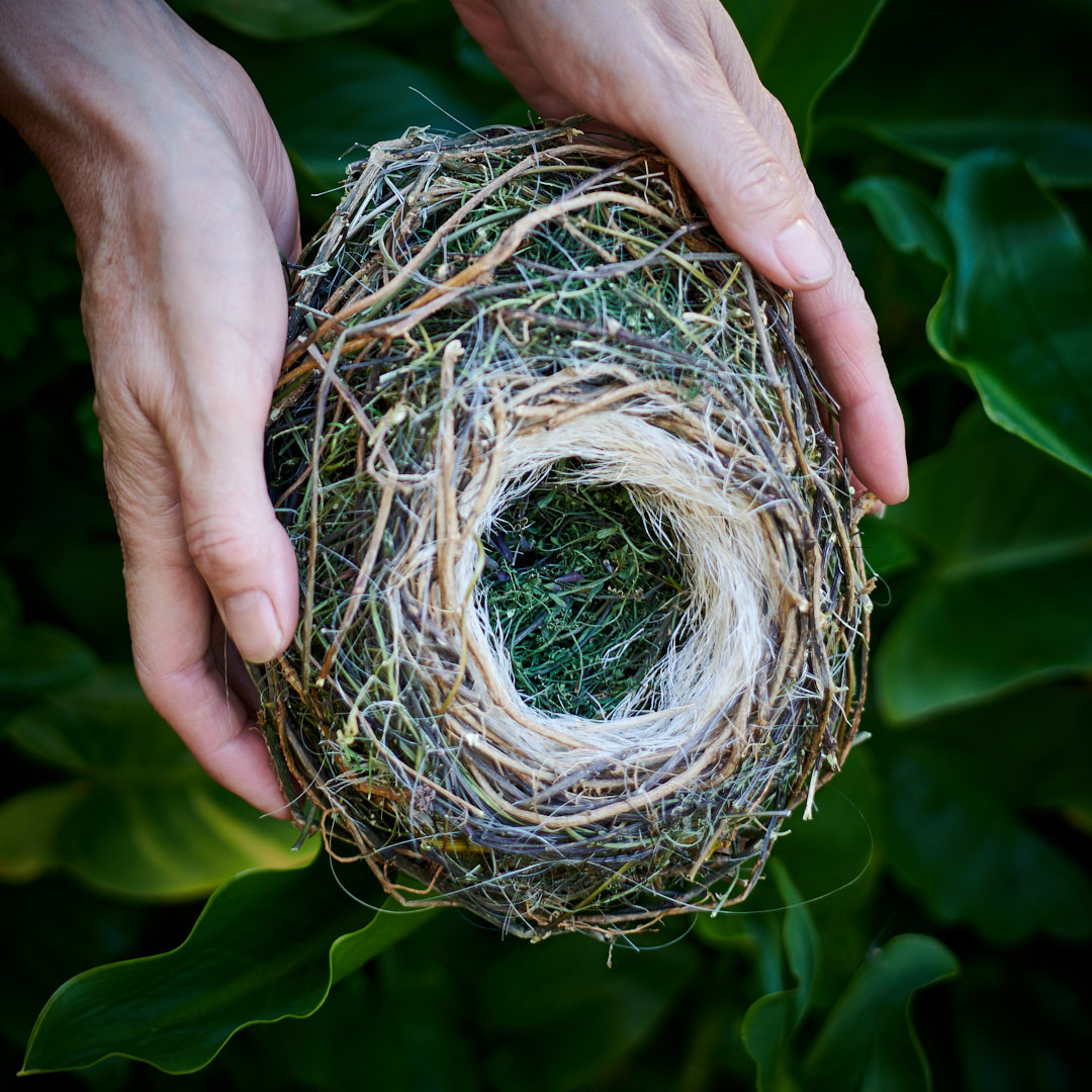 Nest Sculpture, Sustainable Artwork by Zora Verona - Invasive Beauty