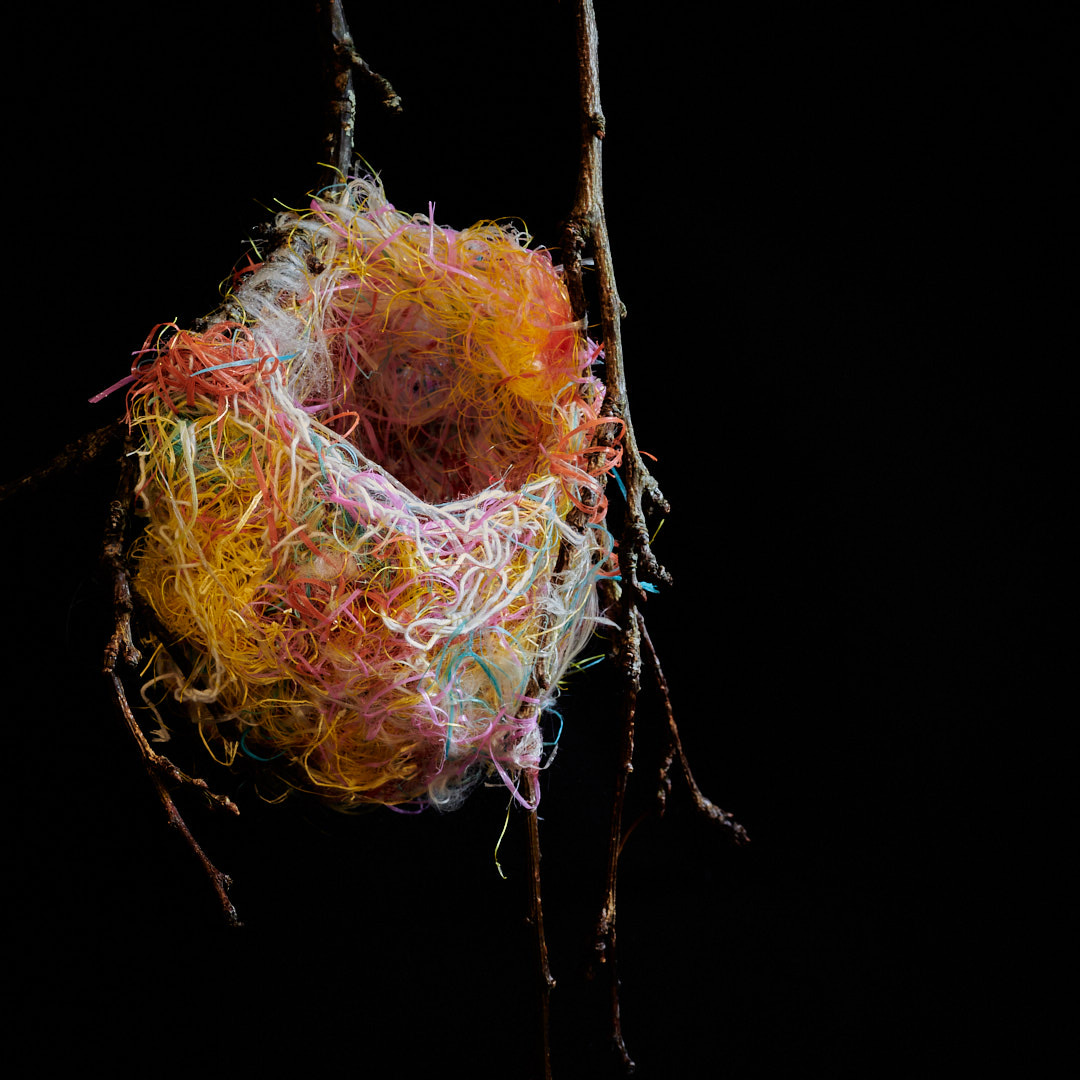 Nest Sculpture, Sustainable Artwork by Zora Verona - The Nest of the Northern Oriole Titled 'With What is Left I'