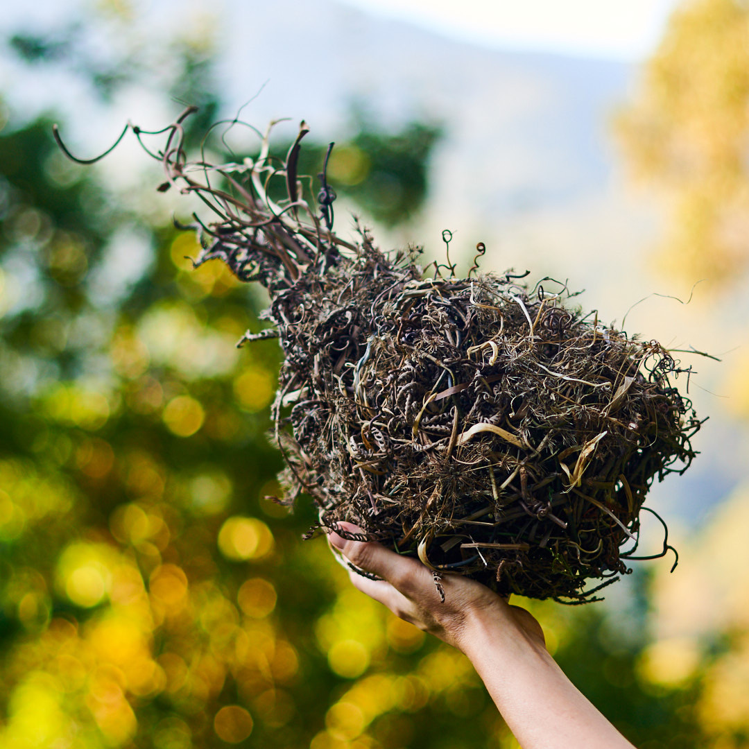 Nest Sculpture, Sustainable Artwork by Zora Verona - Strange Weaver Bird Nest
