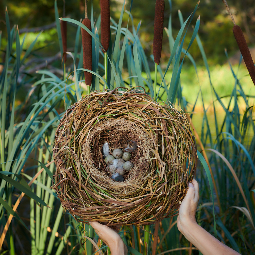 Nest Sculpture, Sustainable Artwork by Zora Verona - Waterbird Nest Sculpture