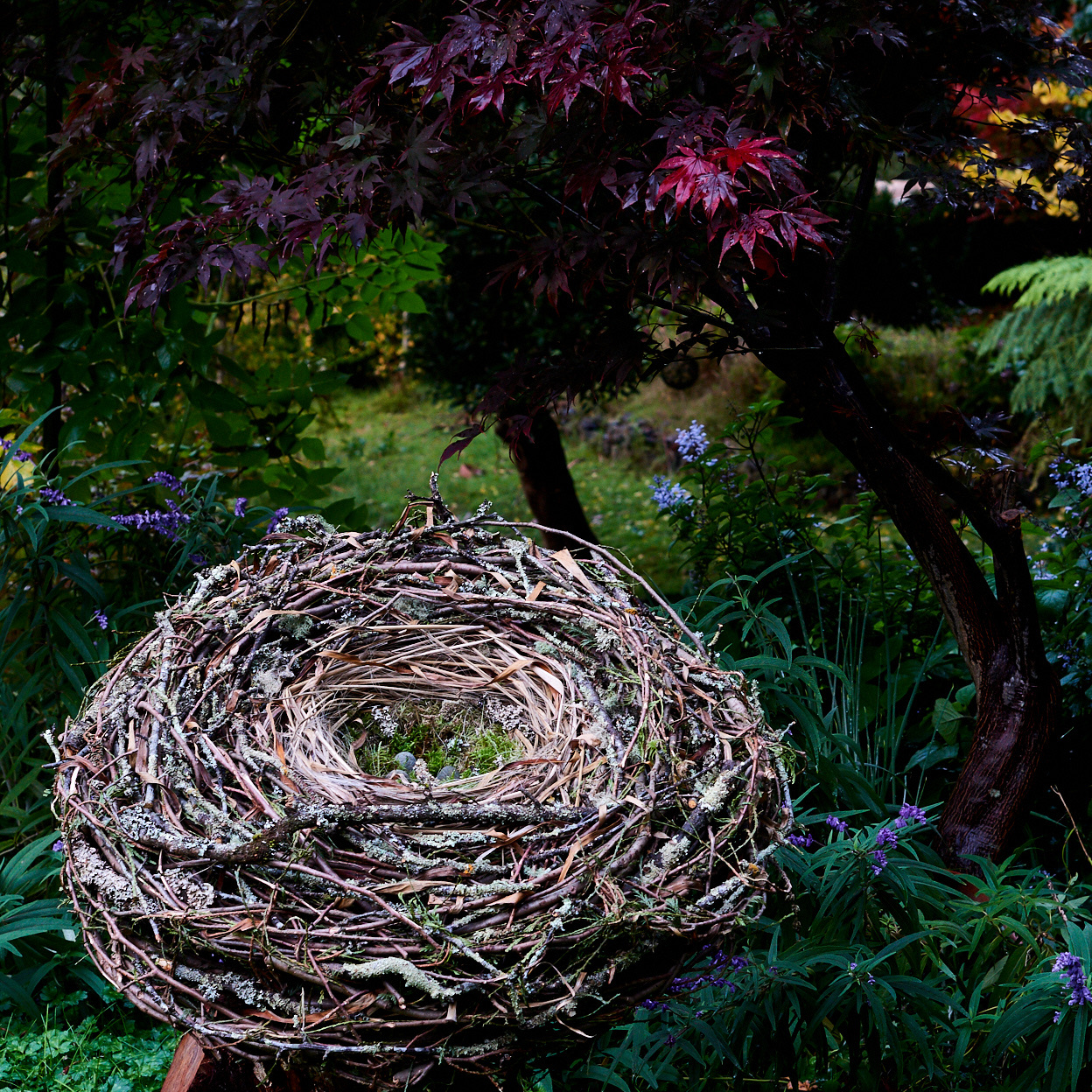 Nest Sculpture, Sustainable Artwork by Zora Verona - Lichen Giant