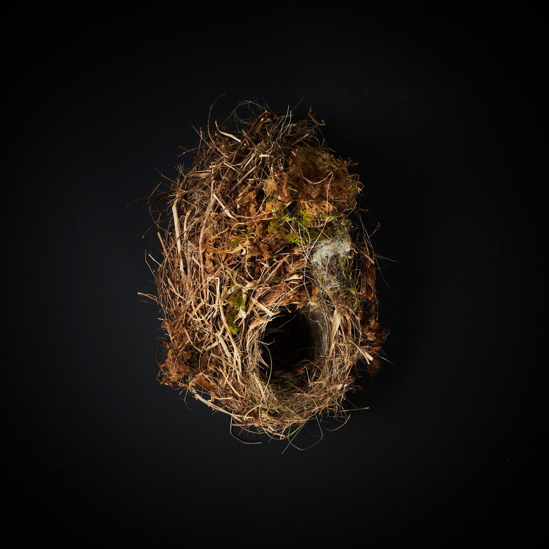 Nest Sculpture, Sustainable Artwork by Zora Verona - Superb Fairy-wren nest sculpture