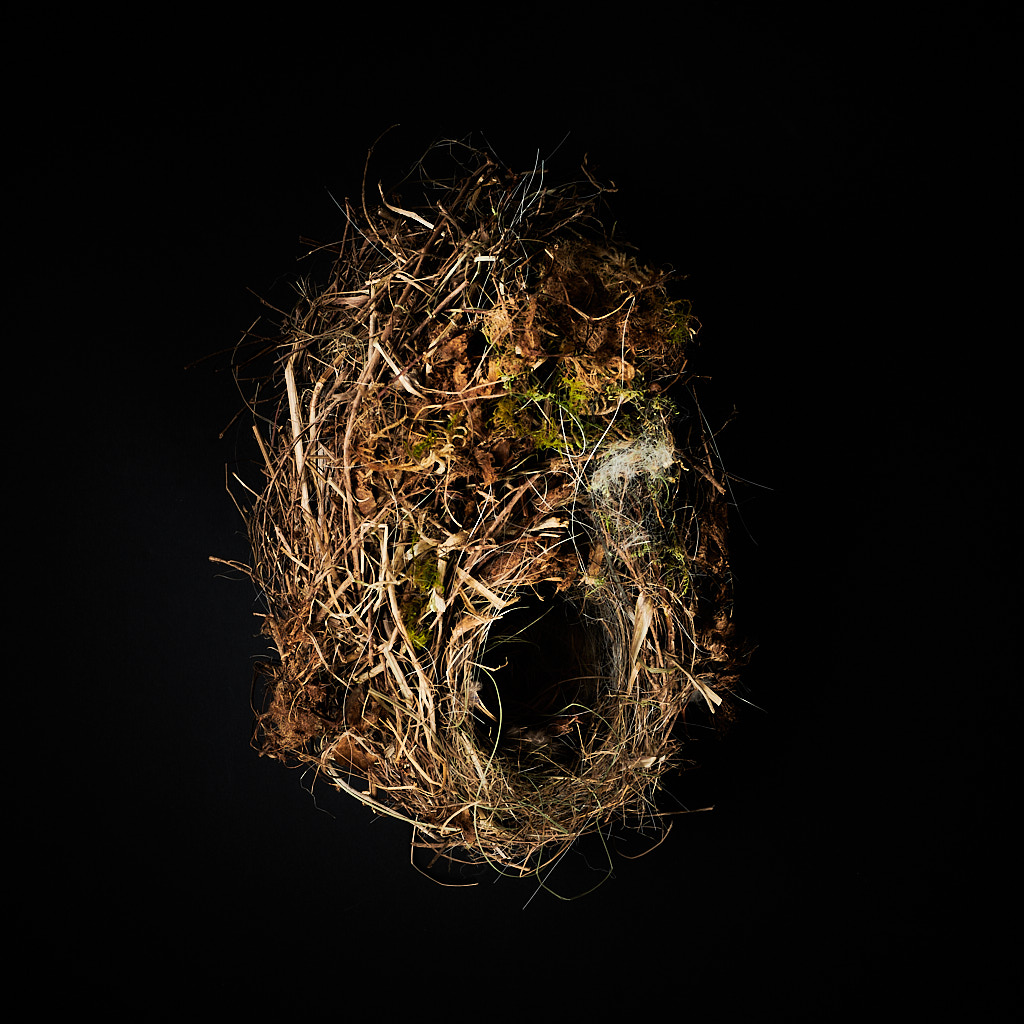 Nest Sculpture, Sustainable Artwork by Zora Verona - Superb Fairy-wren nest sculpture