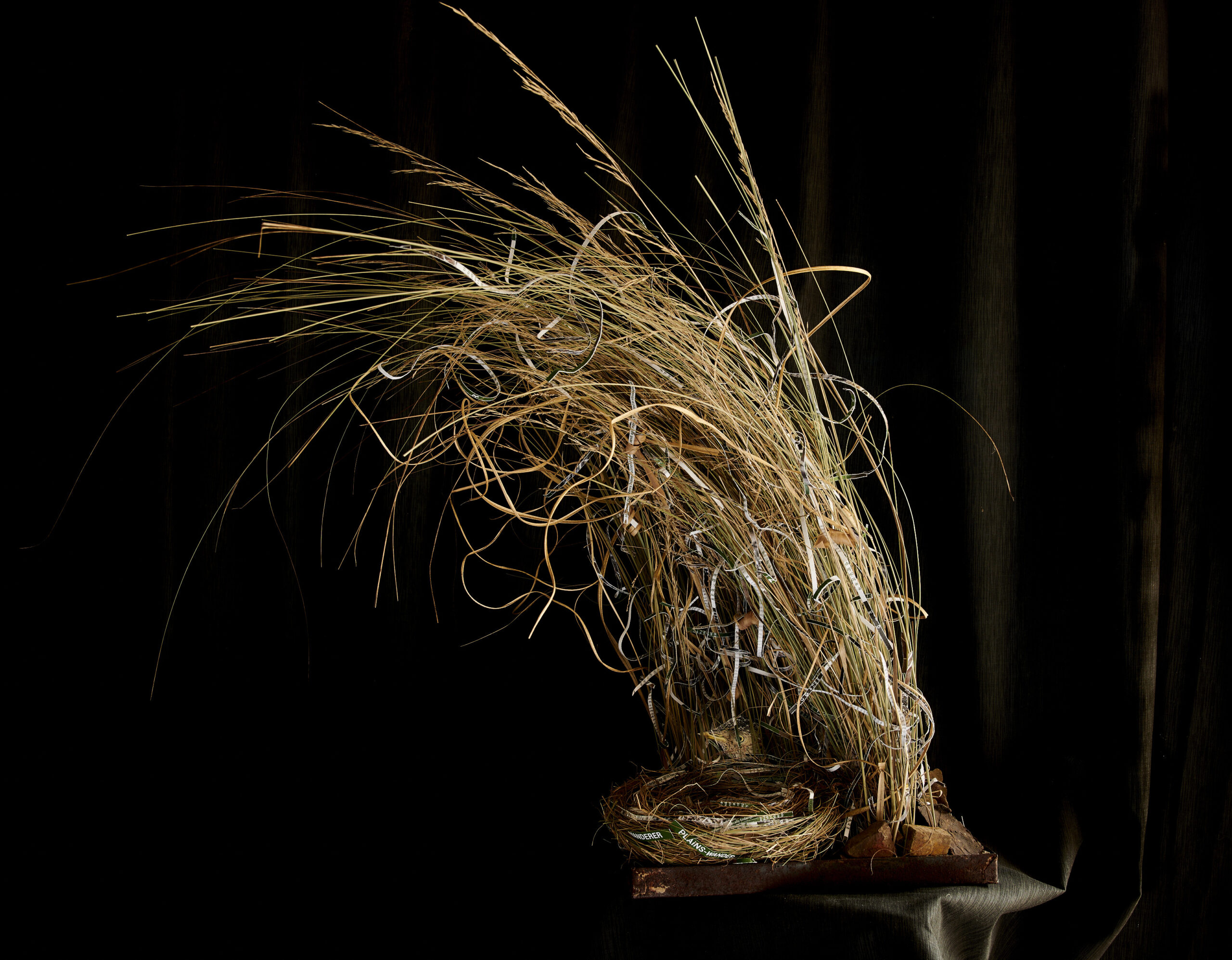 Nest Sculpture, Sustainable Artwork by Zora Verona - Titled Nesting Extinction Plains Wanderer